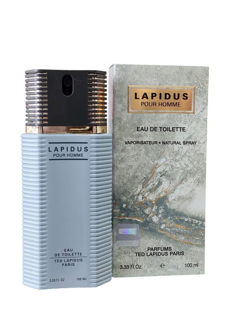 TED LAPIDUS Men's Perfume Eau De Toilette 100 ml
