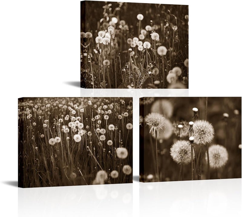 RnnJoile Dandelion Canvas Art Set - Image 1