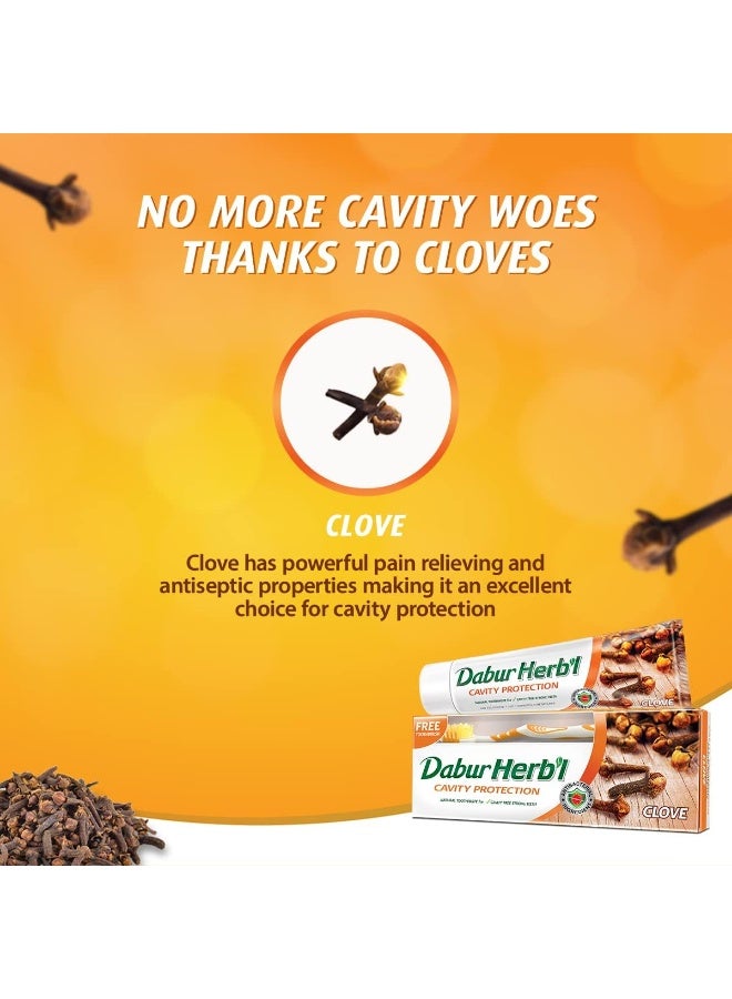 دابر هيرب'ل هيربل معجون أسنان بالقرنفل 280 جم + فرشاة أسنان مجاناً 2 قطعة - Image 5