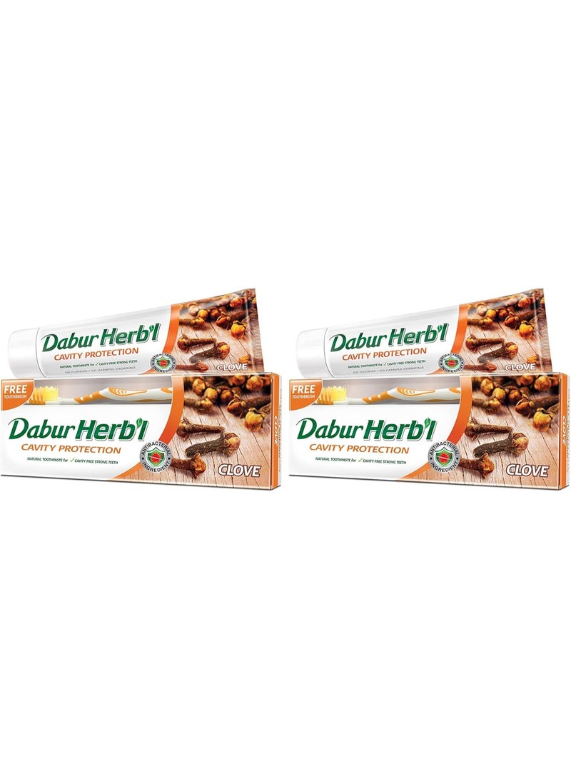 دابر هيرب'ل هيربل معجون أسنان بالقرنفل 280 جم + فرشاة أسنان مجاناً 2 قطعة - Image 2