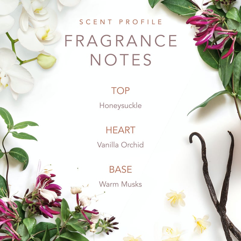 SCENT BEAUTY Dolly Parton Tennessee Sunset Body Mist by Scent Beauty - Perfume for Women - Fruity, Floral and Feminine Fragrance with Notes of Honeysuckle, Vanilla Orchid and Warm Musks - 8.0 Fl Oz - Image 4