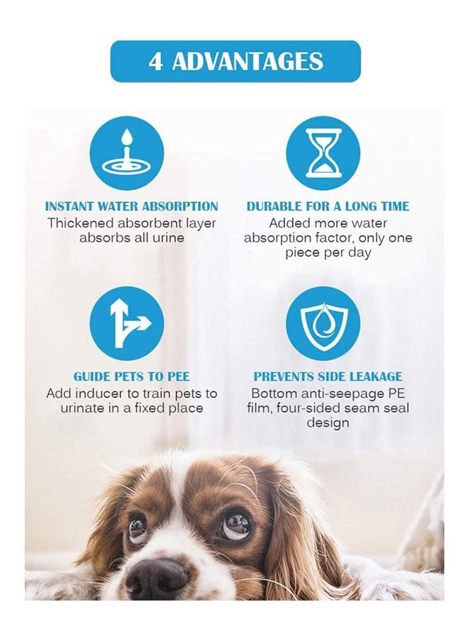 Golden Arrows - Pet Pee Pads Dog Training Pee Pads Xl - 60x90 cm - 10 pcs - Image 1