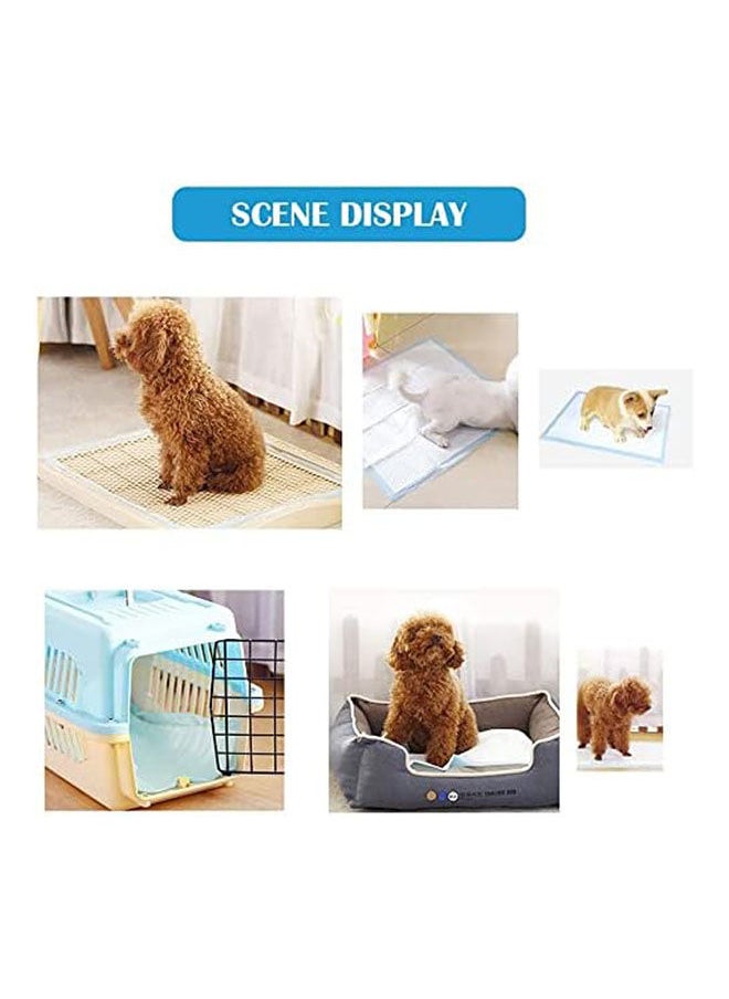 Golden Arrows - Pet Pee Pads Dog Training Pee Pads Xl - 60x90 cm - 10 pcs - Image 1