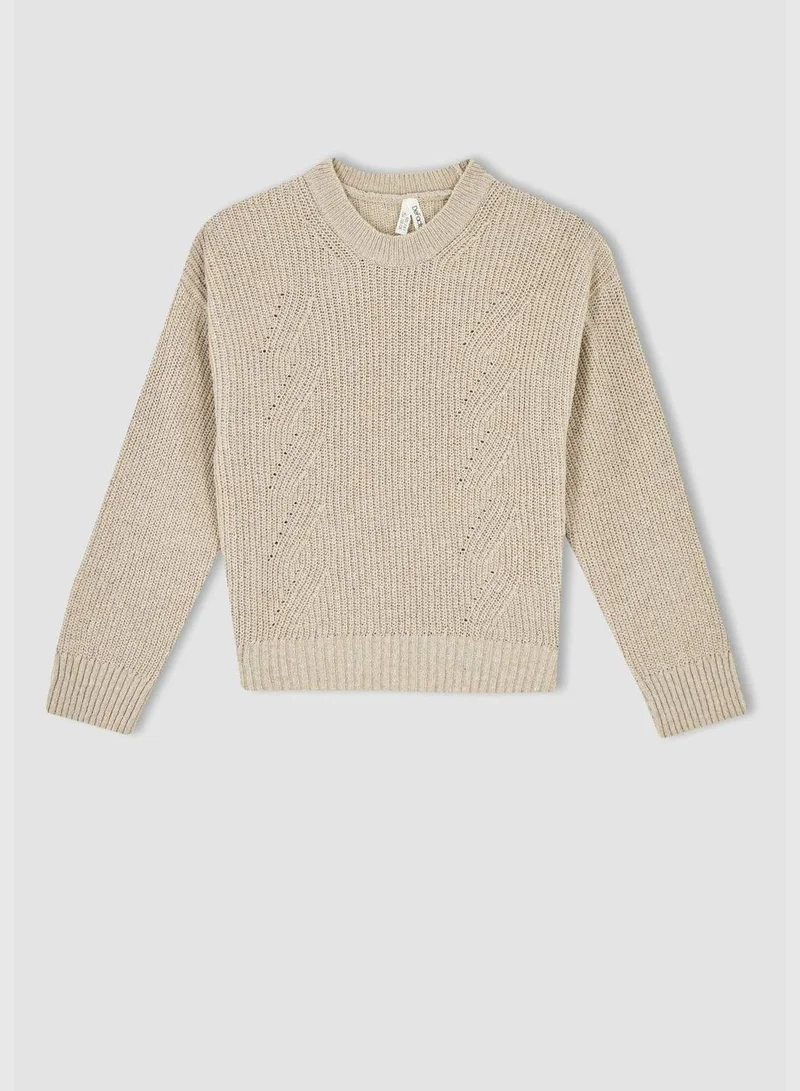 DeFacto Regular Fit Long Sleeve Turtleneck Knit Sweater