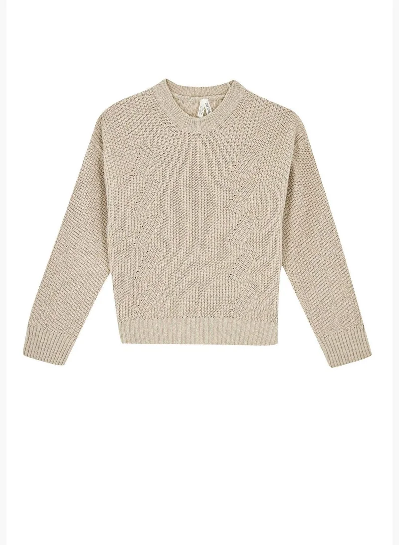 DeFacto Regular Fit Long Sleeve Turtleneck Knit Sweater