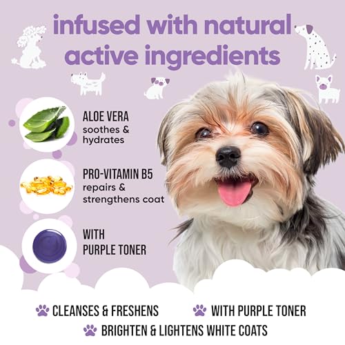 Buddycare White Dog Shampoo by Buddycare | Dry Skin & Itchy Skin Relief for Smelly Dogs | Deep Cleansing Shampoo for Dogs Puppy Sensitive Skin | Dog Shampoo & Conditioner | with Aloe & Vitamin B5 (16.90oz) - Image 3