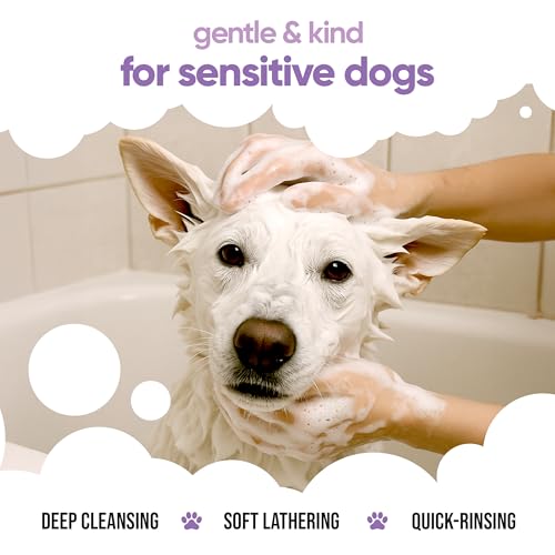 Buddycare White Dog Shampoo by Buddycare | Dry Skin & Itchy Skin Relief for Smelly Dogs | Deep Cleansing Shampoo for Dogs Puppy Sensitive Skin | Dog Shampoo & Conditioner | with Aloe & Vitamin B5 (16.90oz) - Image 4