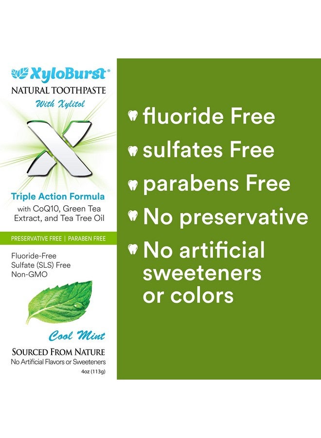 Xyloburst Natural Fluoridefree Xylitol Premium Toothpaste With Xylitol And Coq10 Cool Mintslsfree Paraben Free Cruelty Free 4 Ounce Tube Made In The Usa (1 Tube) - Image 4