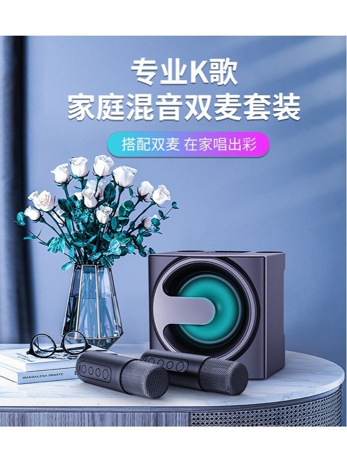 SU.YOSD Wireless Bluetooth Speaker Home KTV Equipment – Portable Mini Audio Microphone with Dual Microphones for Indoor & Outdoor Use (Model YS-207)  - Image 3
