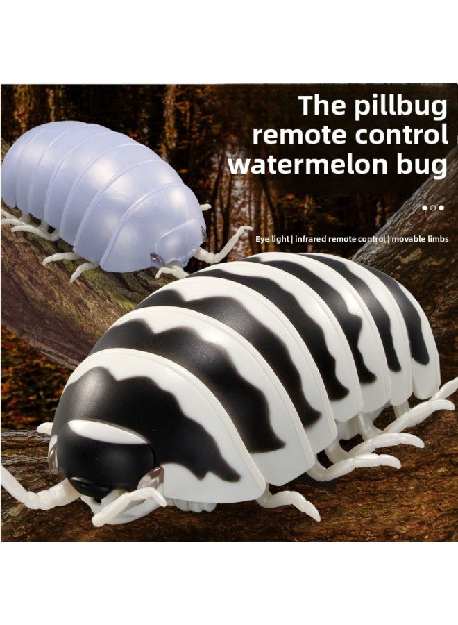 Mini Remote Control Cockroach Simulation Animal Model Funny Cat And Dog Pet Toy Tricky Scary Halloween Toy-Color:Remote Control Caterpillar
