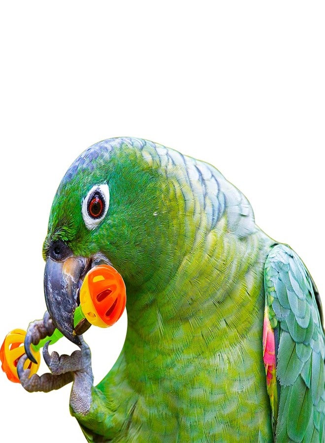 DQITJ 4 Pack Bird Barbell Dumbell Foot Toy for Small Bird Parrot Green Cheek Parakeet Cockatiel Conure Love Birds - Image 3