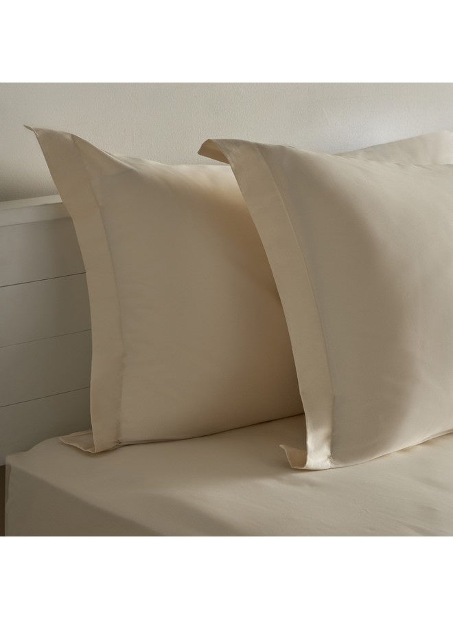 Home Box Opulent Luxe 2-Pieces Cotton Solid Pillowcase Set 75 x 50 x 5 cm - Image 2