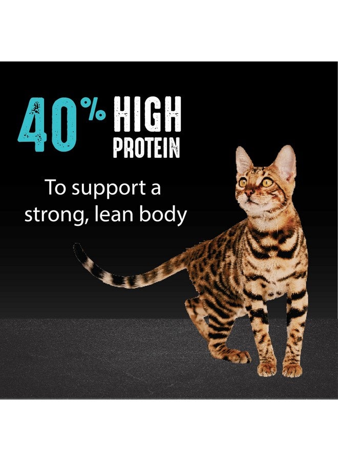 كريف طعام القطط الجاف الطبيعي عالي البروتين من CRAVE، خالي من الحبوب، مع بروتين من سمك السلمون والأسماك المحيطية، 4 أرطال - Image 4