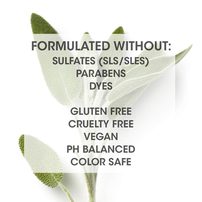 Seven ماسك علاج الشعر العميق من SEVEN للعناية بالشعر مع كينتي بوند للنساء والرجال، للشعر الجاف والتالف مع بروفيتامين B5، كينوا مهدرجة وغليسرين، خالي من القسوة، خالي من البارابين، صنع في الولايات المتحدة - Image 2