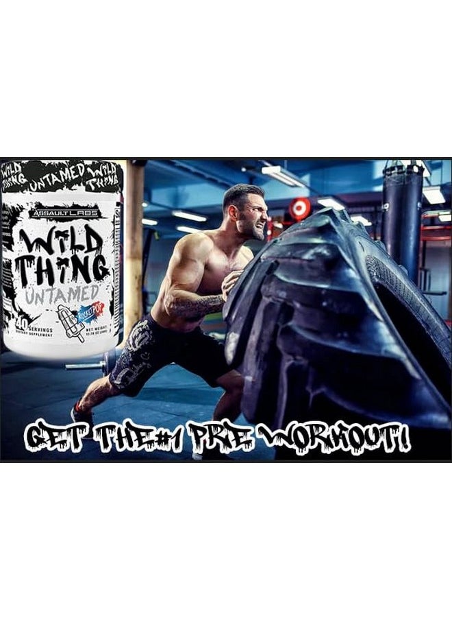 مسحوق ما قبل التمرين من Assault Labs Wild Thing مزيج من ثنائي سيترولين مالات وبيتا ألانين وL-Glutamine وكافيين لا مائي وL-Tyrosine لبناة الأجسام والرياضيين | خياران للنكهة (Rocket Pop)