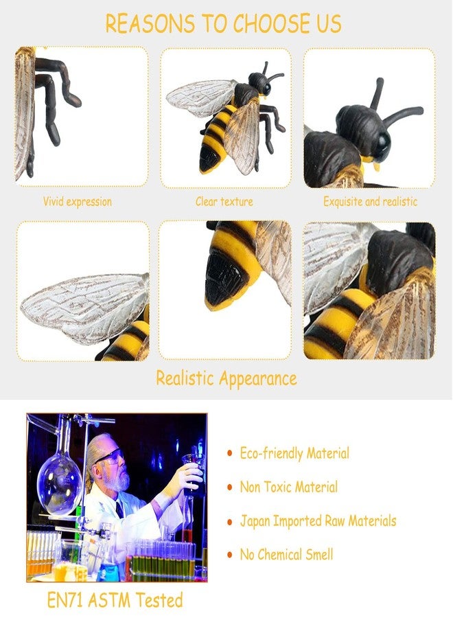 JOKFEICE Realistic Animal Figures Honeybee Figurines Insect Toy, Science Project, Cake Topper, Early Educational Toys Birthday for Toddlers Kids Age 3 4 5 - Image 5