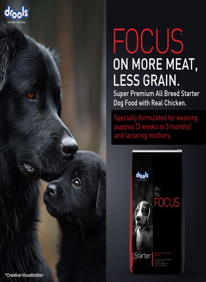 Drools Focus Starter Super Premium Dry Dog Food 1.2kg Pack | Chicken Flavour | Brain Development | Antioxidants like Vitamin E & C | Energy and Essential Nutrients - Image 2