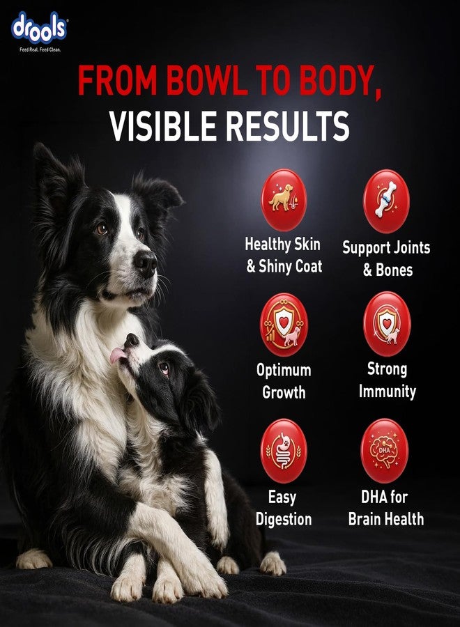 Drools Focus Starter Super Premium Dry Dog Food 1.2kg Pack | Chicken Flavour | Brain Development | Antioxidants like Vitamin E & C | Energy and Essential Nutrients - Image 5