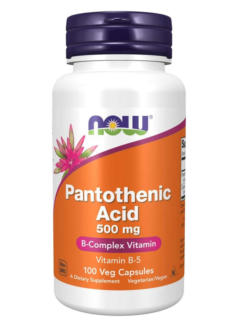 now Pantothenic Acid Vitamin B5 500 Mg Bcomplex Vitamin 100 Capsules - Image 1
