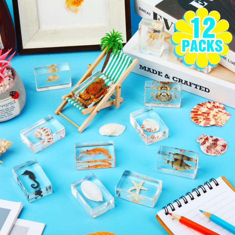 Macarrie 12 قطعة من الحشرات في عينات الراتنج مجموعة من الحشرات كأوزان ورقية عينات العنكبوت عينات الراتنج حشرات مختلفة محفوظة في الراتنج للأطفال لعبة تعليمية علمية، 12 نمط (موضوع المحيط) - Image 2