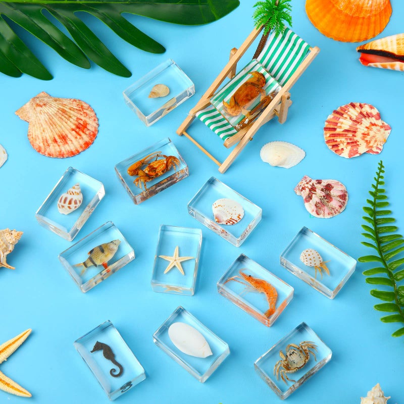 Macarrie 12 قطعة من الحشرات في عينات الراتنج مجموعة من الحشرات كأوزان ورقية عينات العنكبوت عينات الراتنج حشرات مختلفة محفوظة في الراتنج للأطفال لعبة تعليمية علمية، 12 نمط (موضوع المحيط) - Image 3