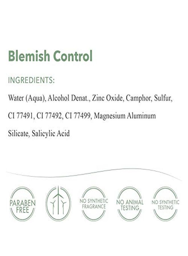 EmerginC Blemish Control Tinted Drying Spot Treatment With Salicylic Acid + Colloidal Sulfur To Improve The Appearance Of Active Breakouts + Address Impurities (0.67 Ounce, 20 Ml)  - Image 5