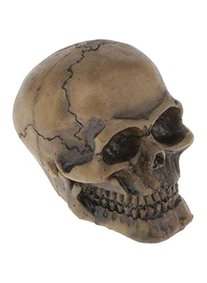 10 Various Unique Shape Designs Resin Reptile Decoration Ornaments for Lizard Snake Turtle Hideouts Habitat Terrarium Background Decor  #7 Human Skull - Image 1