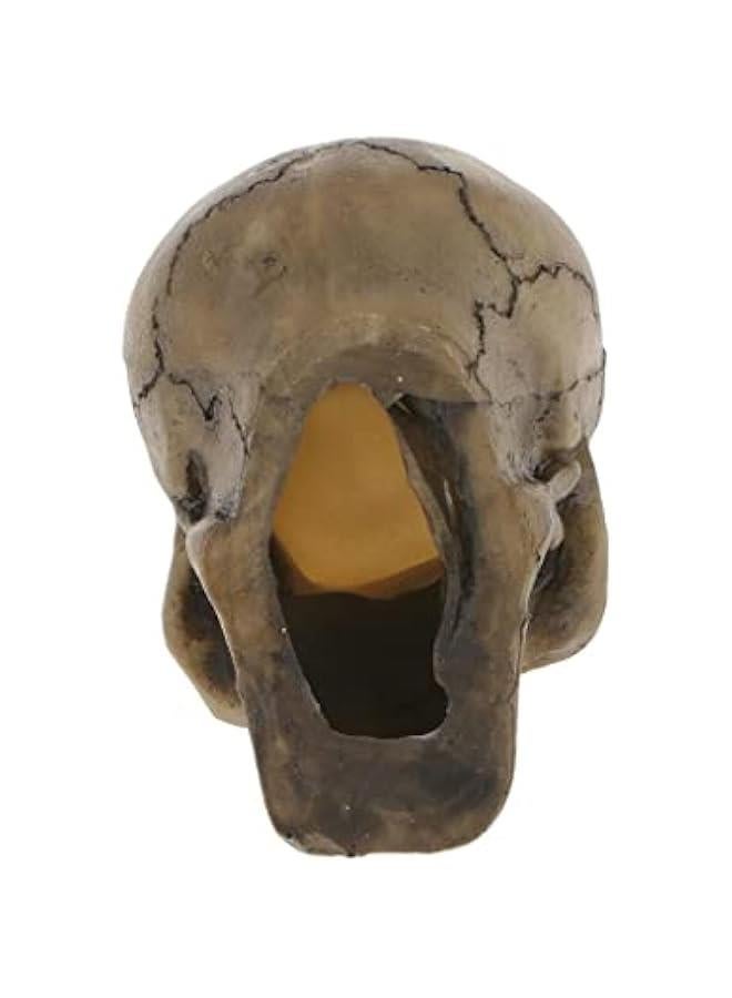 10 Various Unique Shape Designs Resin Reptile Decoration Ornaments for Lizard Snake Turtle Hideouts Habitat Terrarium Background Decor  #7 Human Skull - Image 2