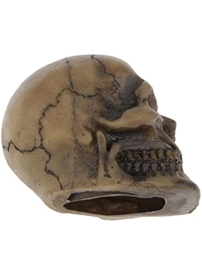 10 Various Unique Shape Designs Resin Reptile Decoration Ornaments for Lizard Snake Turtle Hideouts Habitat Terrarium Background Decor  #7 Human Skull - Image 4