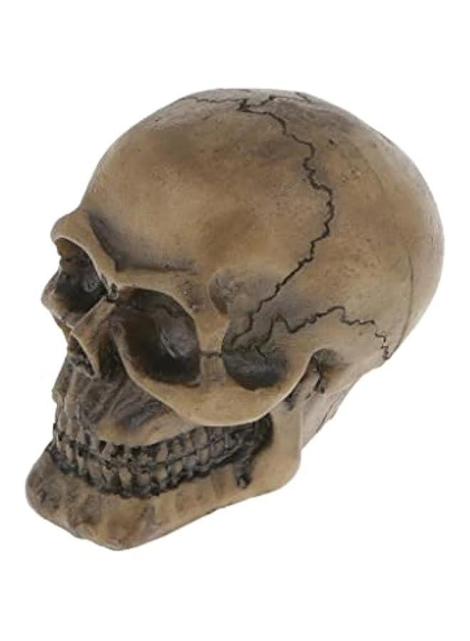10 Various Unique Shape Designs Resin Reptile Decoration Ornaments for Lizard Snake Turtle Hideouts Habitat Terrarium Background Decor  #7 Human Skull - Image 5