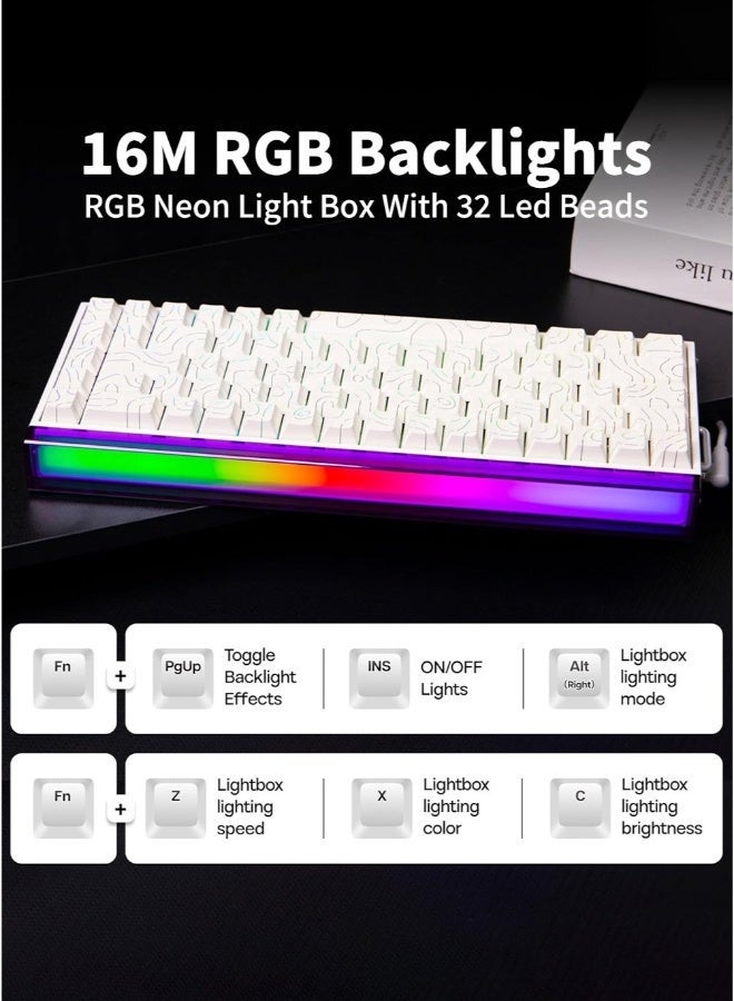 AULA Hero 68HE RGB Gaming Keyboard 65% Wired with Adjustable Actuation,Hall Effect Magnetic Switch,8KHz Polling Rate,RGB Backlit,Neon Lightbox,Tray Mount,Side Printed Keycap(White) - Image 4