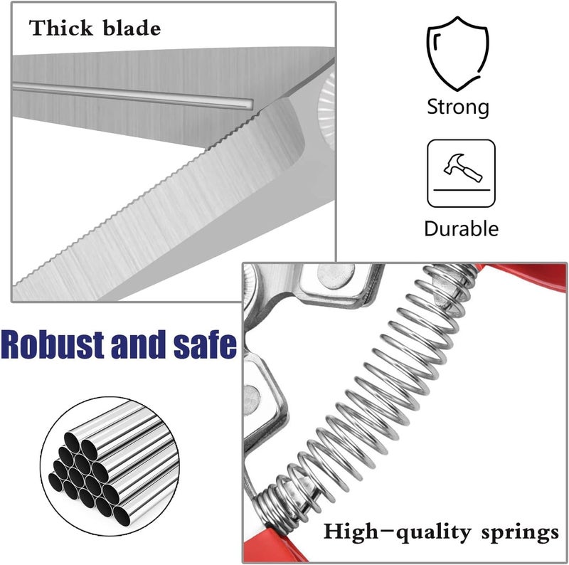 Pruner Shears, Garden Scissors, , Stainless Steel Sharp Garden Secateurs Small Multi-Purpose Shears for Plants Flowers Fruits Vegetables (7.87inch) - Image 3