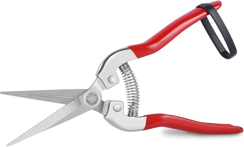 Pruner Shears, Garden Scissors, , Stainless Steel Sharp Garden Secateurs Small Multi-Purpose Shears for Plants Flowers Fruits Vegetables (7.87inch) - Image 1