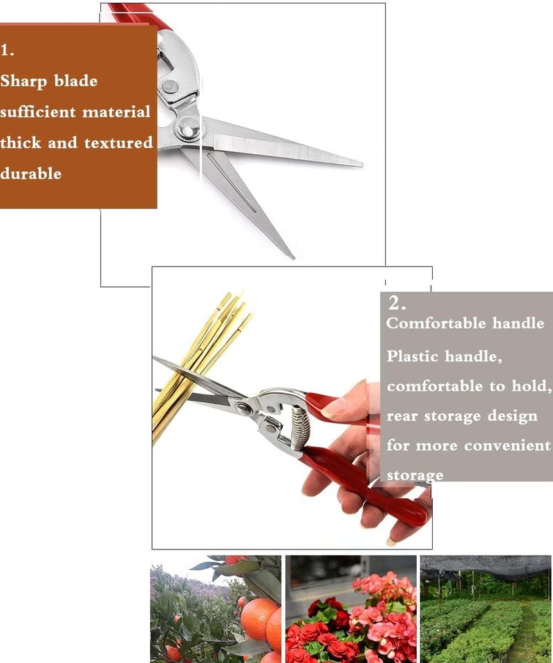 Pruner Shears, Garden Scissors, , Stainless Steel Sharp Garden Secateurs Small Multi-Purpose Shears for Plants Flowers Fruits Vegetables (7.87inch) - Image 4