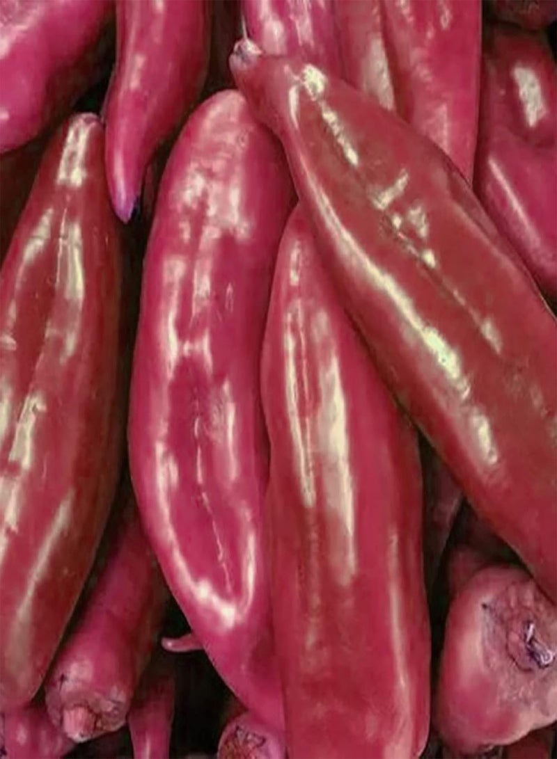 GGOOT 200Pcs Vegetable Seeds for Planting, Edible Non GMO Safe Natural Flavorful Pepper Seeds Garden Supplies - Purple - Image 4