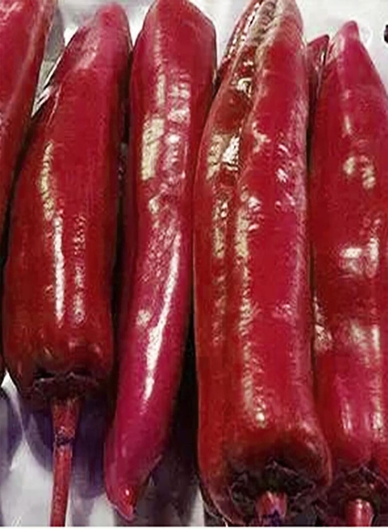 GGOOT 200Pcs Vegetable Seeds for Planting, Edible Non GMO Safe Natural Flavorful Pepper Seeds Garden Supplies - Purple - Image 5