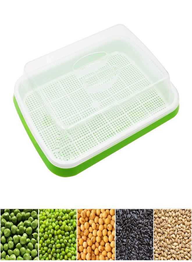 MUDUOBAN 5 Layers Seed Sprouter Tray with Stainless Steel Shelf Soil-Free Healthy Wheatgrass Seeds Grower and Storage Trays for Garden Home Kitchen Office(5 Pack Seed Sprouter Trays with 5 Layers Shelf) - Image 3