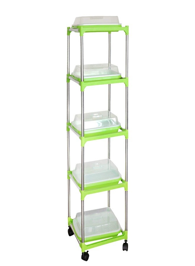 MUDUOBAN 5 Layers Seed Sprouter Tray with Stainless Steel Shelf Soil-Free Healthy Wheatgrass Seeds Grower and Storage Trays for Garden Home Kitchen Office(5 Pack Seed Sprouter Trays with 5 Layers Shelf) - Image 1