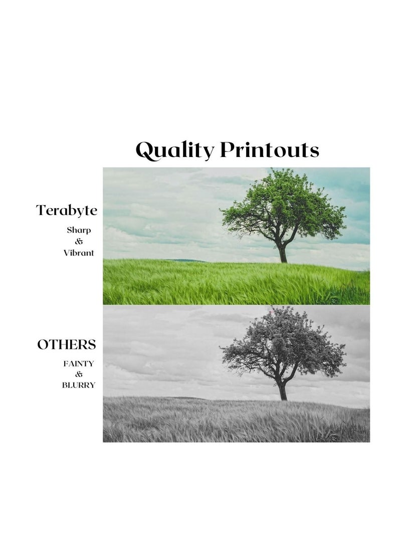 Terabyte TK675 KYOCERA COMPATIBLE TONER TERABYTE - Image 2