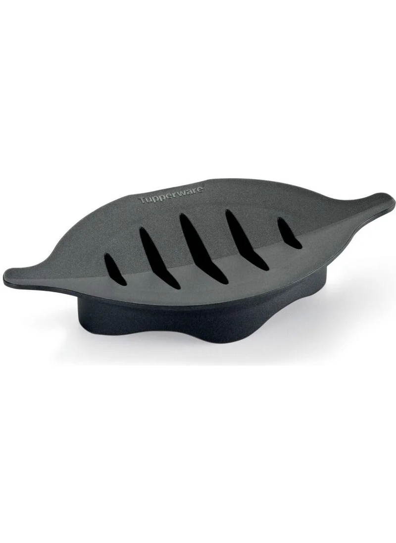 Tupperware Eco-Friendly Soap Dish Eco-Friendly Soap Dish