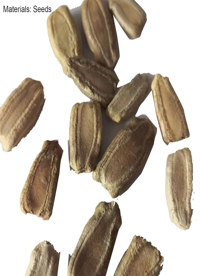 GGOOT 50Pcs/Bag Giant Gourd seeds Water Requires High Germination Low Fat Plant seeds for Balconies Green - Image 3