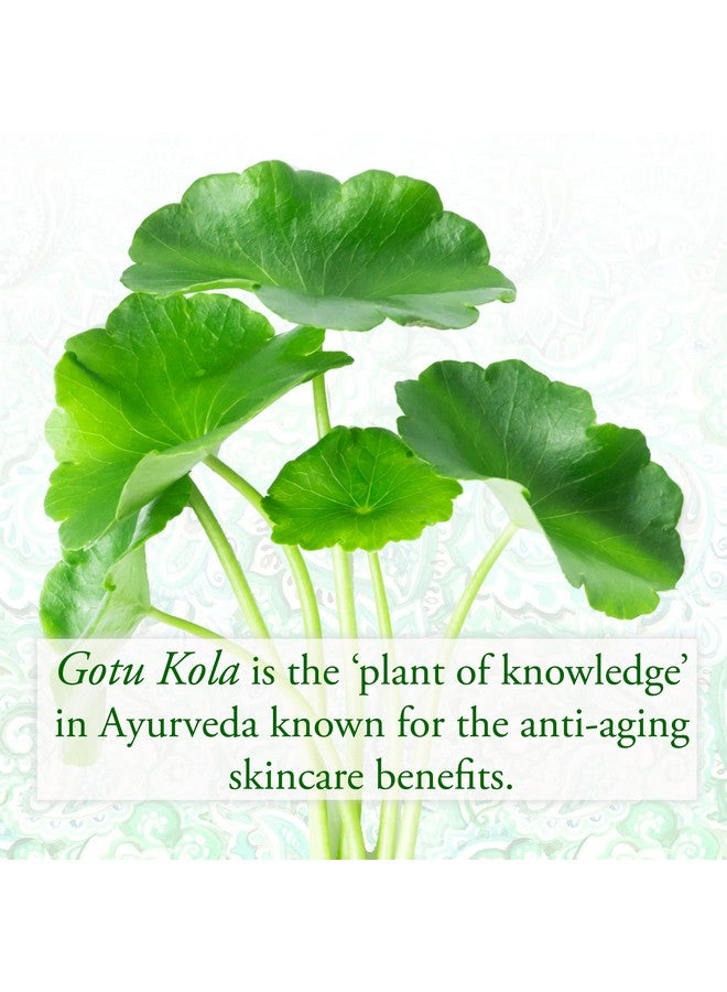 Sundari Sundãri Gotu Kola And Boswellia Eye Serum - Image 4