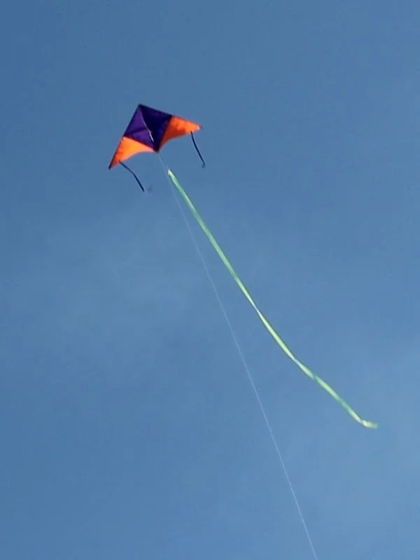 Gülen Uçurtma Laughing Kite / Fabric Delta Kite (Medium Size) Wavy Wing (Red-Yellow)