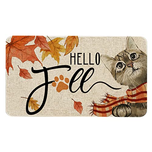 Roszwtit Hello Fall Door Mat 30 X 17 Inch Fall Cat Doormat Indoor Outdoor Entrance Floor Mat Non Slip Autumn Thanksiving Decor Rubber Welcome Mats - Image 1