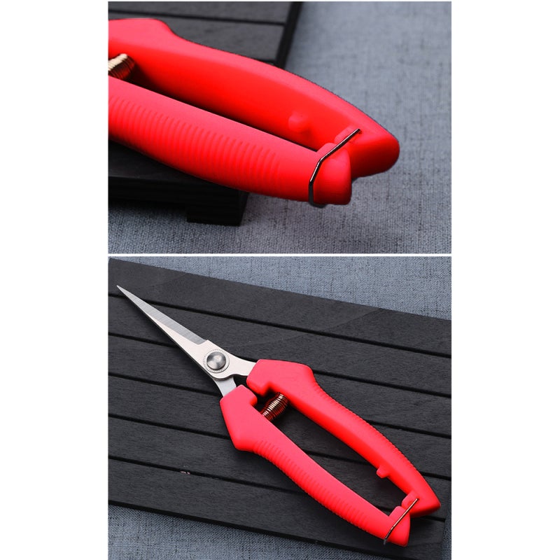 1PC Stainless Steel Pruning Shears Garden Shears Fruit Picking Secateurs Bypass Pruner Garden Tools for Trimming Gardening Pruning Fruit Tree Potted Plants Fruits Bonsai Branches - Image 2