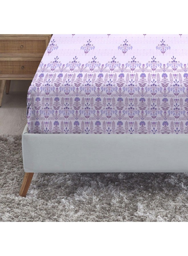 Trident Soft Comfort Fittedsheet for Double Bed, 210 TC 100% Cotton Elastic Fitted Bedsheet, Soft and Breathable, King Size Fitted Bedsheet with 2 Pillow Covers - Lilac Affair - Image 4