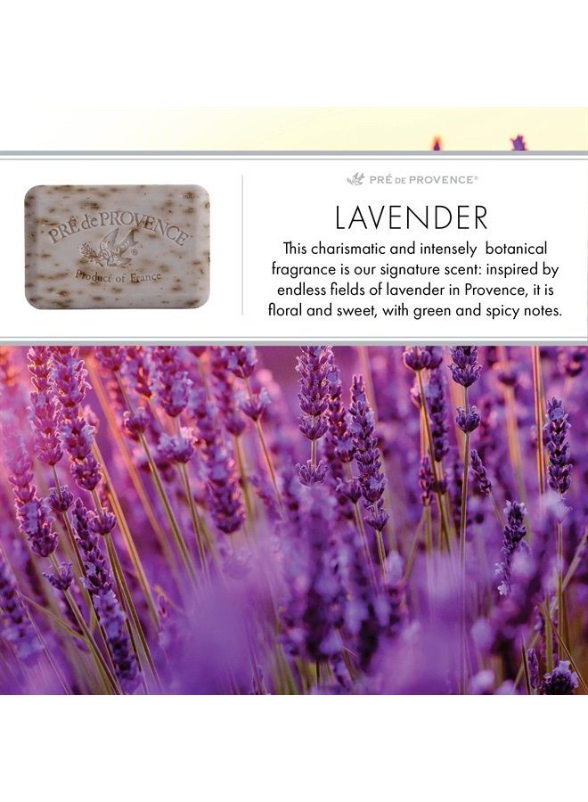 Pre De Provence صابون ترطيب فرنسي حرفي، معزز بزبدة الشيا، مطحون بأربع مراحل لرغوة غنية ناعمة تدوم طويلاً، 5.3 أوقية، لافندر - Image 5