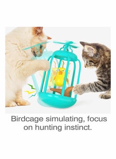 Y&D Bird Cage Teasing Cat Toy, Catnip Toy Ball Baseball Sucker Pet Supplies Indoor Birthday Gift  - Image 4