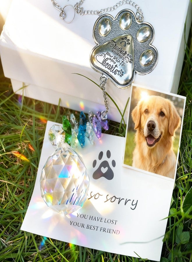 Dog Memorial Gifts for Loss of Dog - Pet Loss Sympathy Gift Keepsake Gifts for Dogs Passing Away - Pet Remembrance Gift Dog Cat Exquisite Paw Print Suncatcher 【Sturdy & No Scratches】 - Image 4