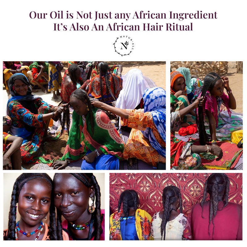 NaturAll 100% Natural Chebe & Jamaican Black Castor Oil for Hair Growth - Authentic Oil (from Chad) with Nozzle for Easy Application, 3.38 Oz - Image 4